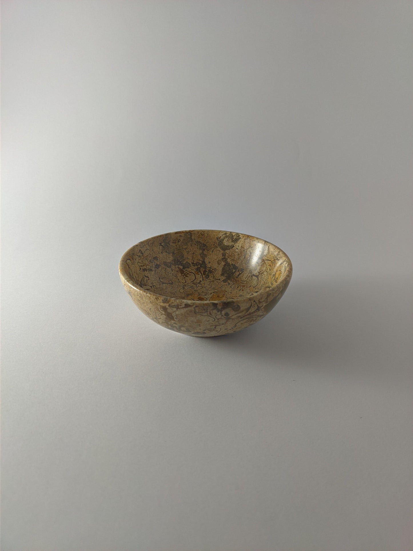 Fossil stone bowl