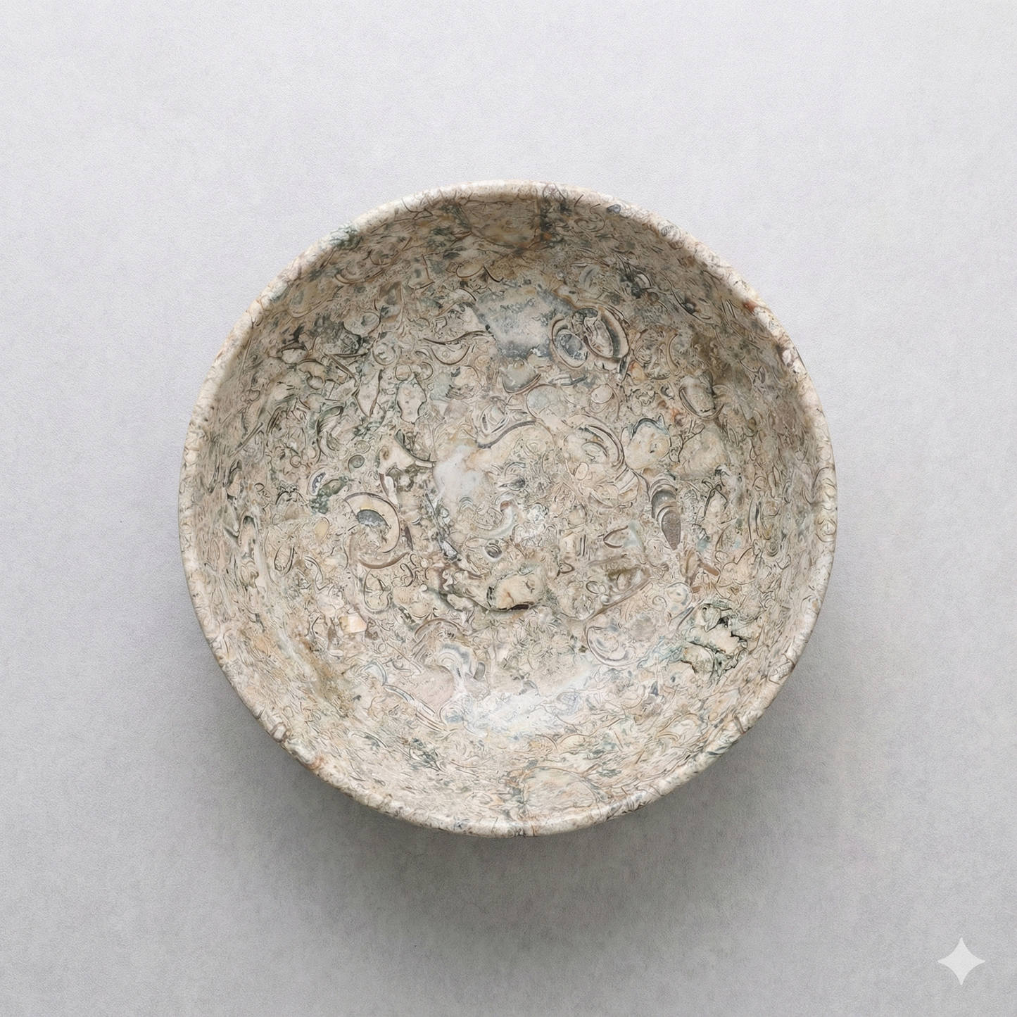 Fossil stone bowl