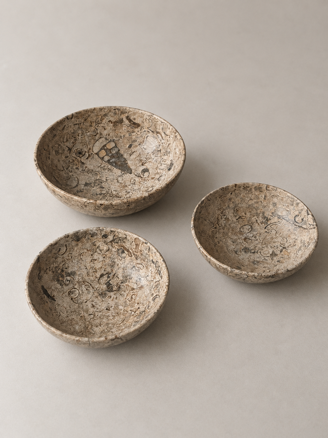 Fossil bowl