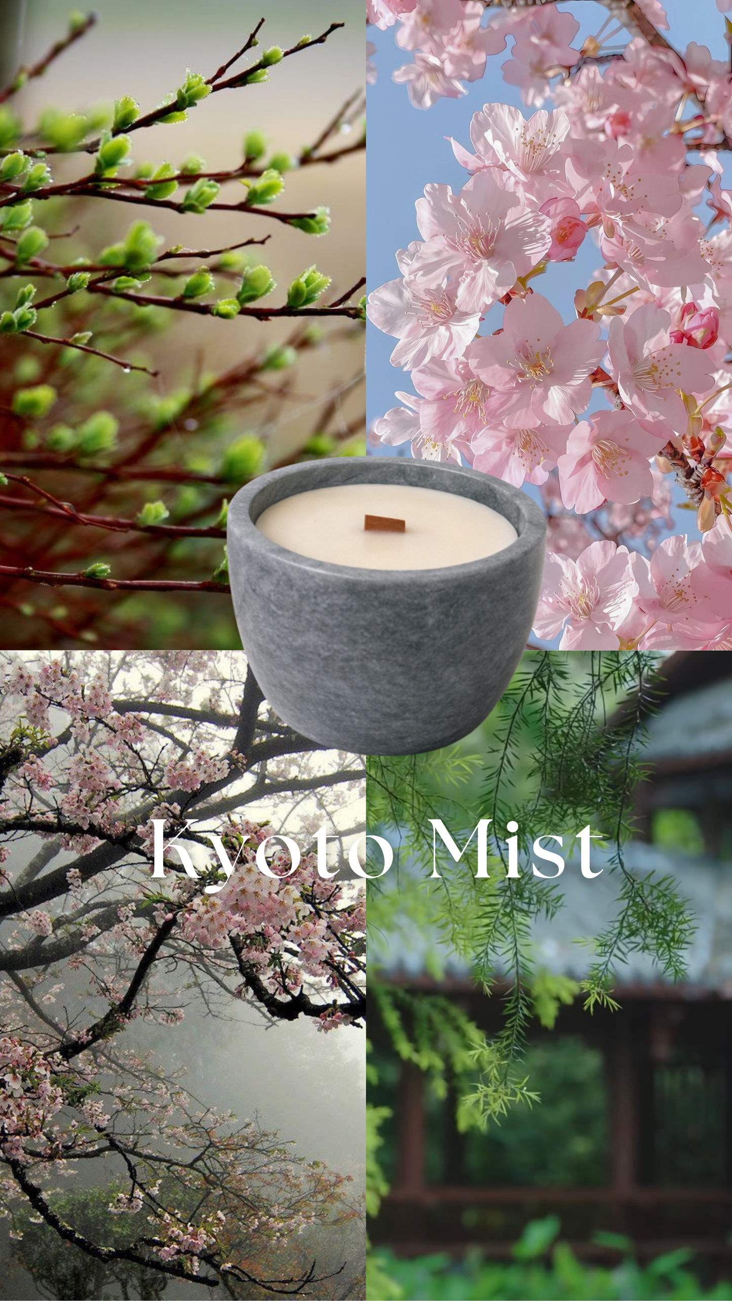 Kyoto mist