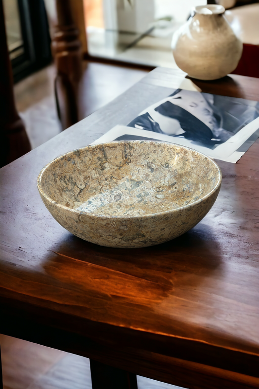 Fossil stone bowl