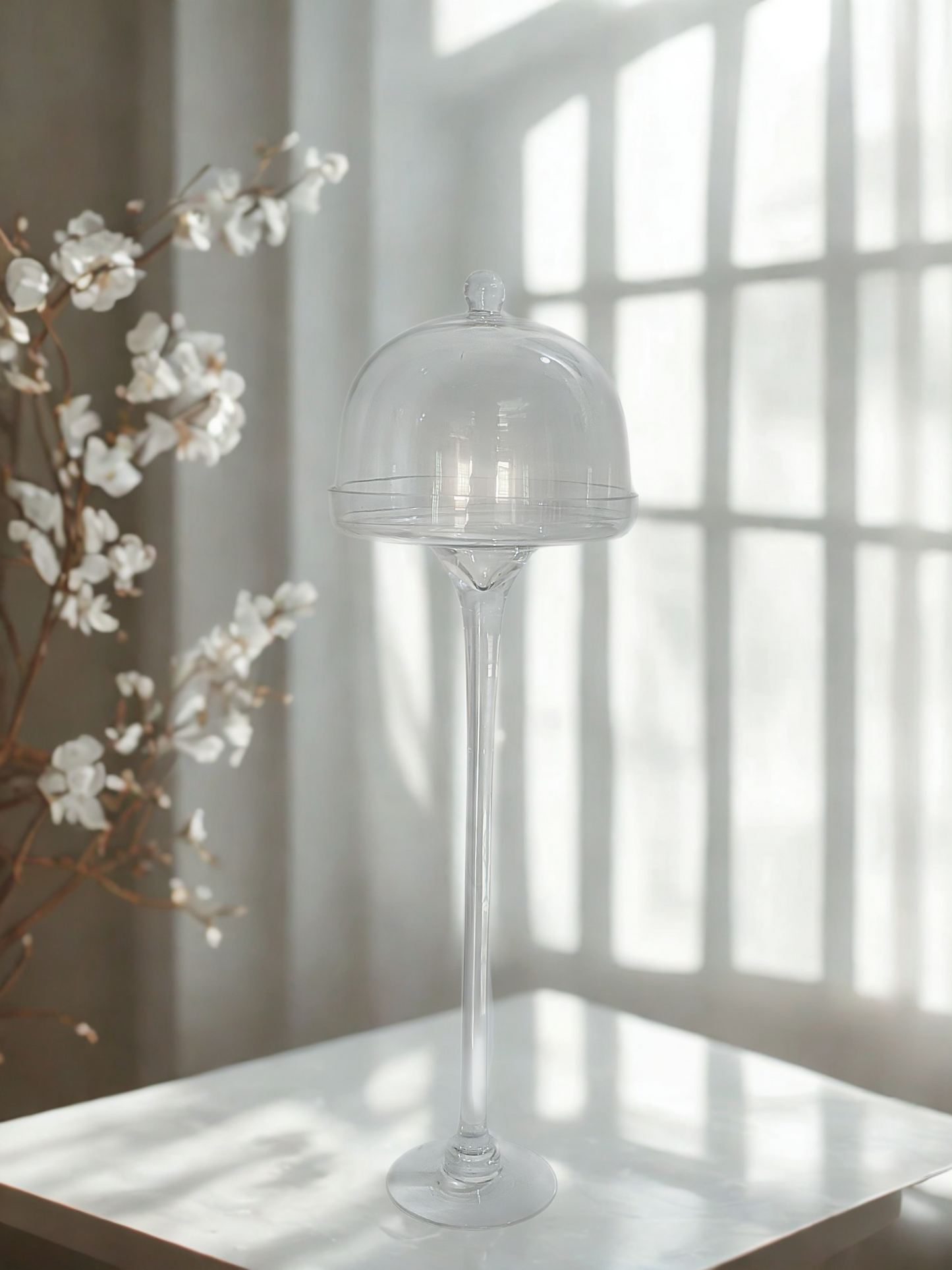 Tall Glass Apothecary Jar